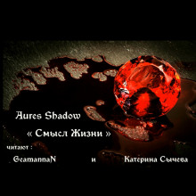 Смысл жизни - Shadow Aures