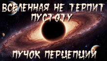Террикон 6. Вселенная не терпит пустоту - Пучок Перцепций