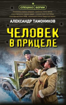 Человек в прицеле - Александр Тамоников