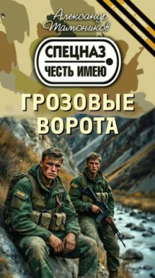 Грозовые ворота - Александр Тамоников