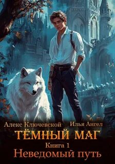 Тёмный маг. Книга 1. Неведомый путь - Алекс Ключевской (Лёха), Илья Ангел